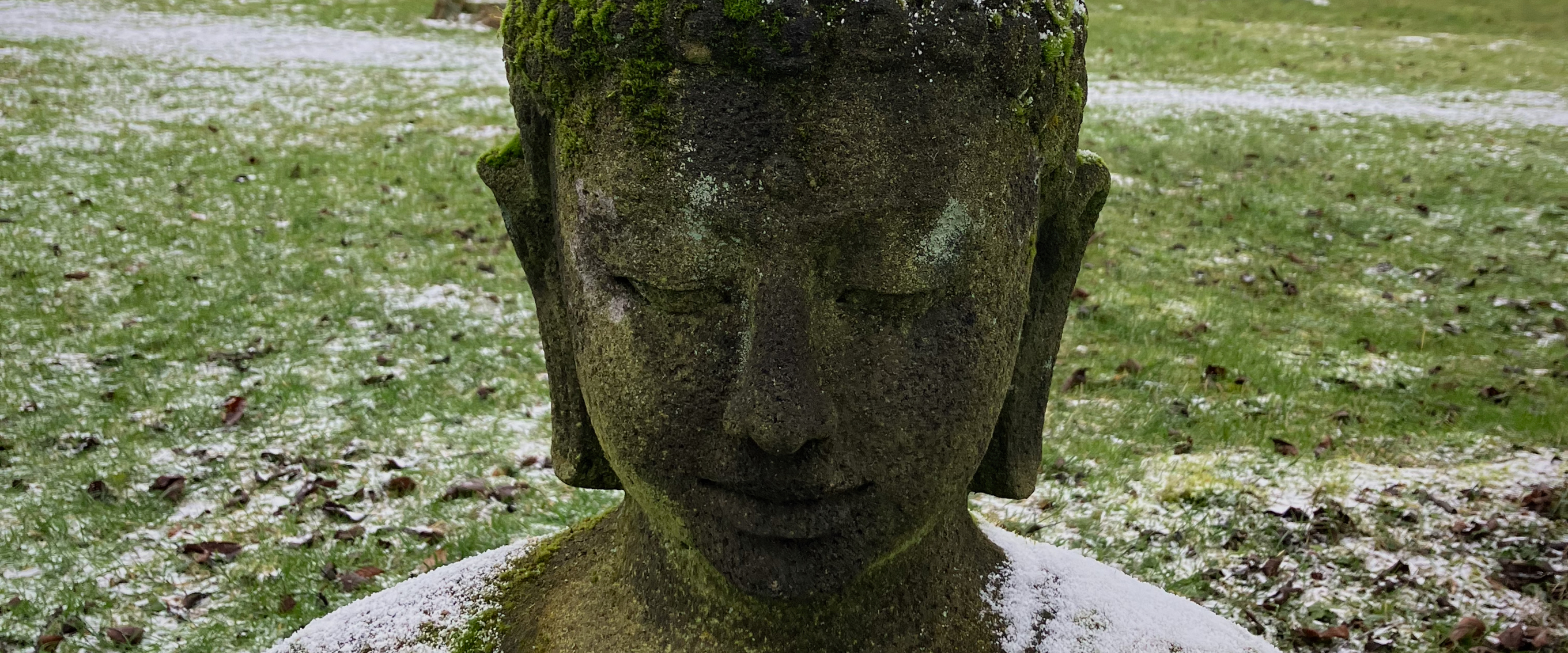 Selbstfreundlichkeit und Meditation