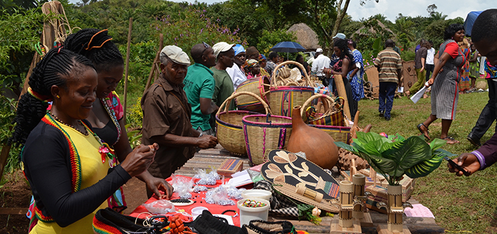 Online-Workshop: "Bafut Ecovillage: Permaculture the African way"