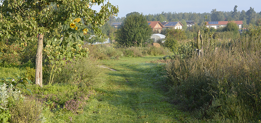 Pause vom Alltag - Ab in den Garten