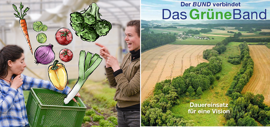 Fehler beim Laden des externen Bildes