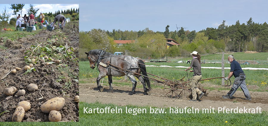 Fehler beim Laden des externen Bildes