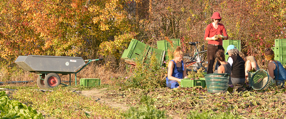 Garten-Mitarbeitswoche