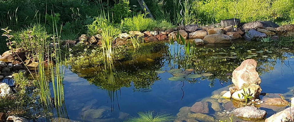 Mit Permakultur das Wasser in Gärten und Landschaft ausbalancieren
