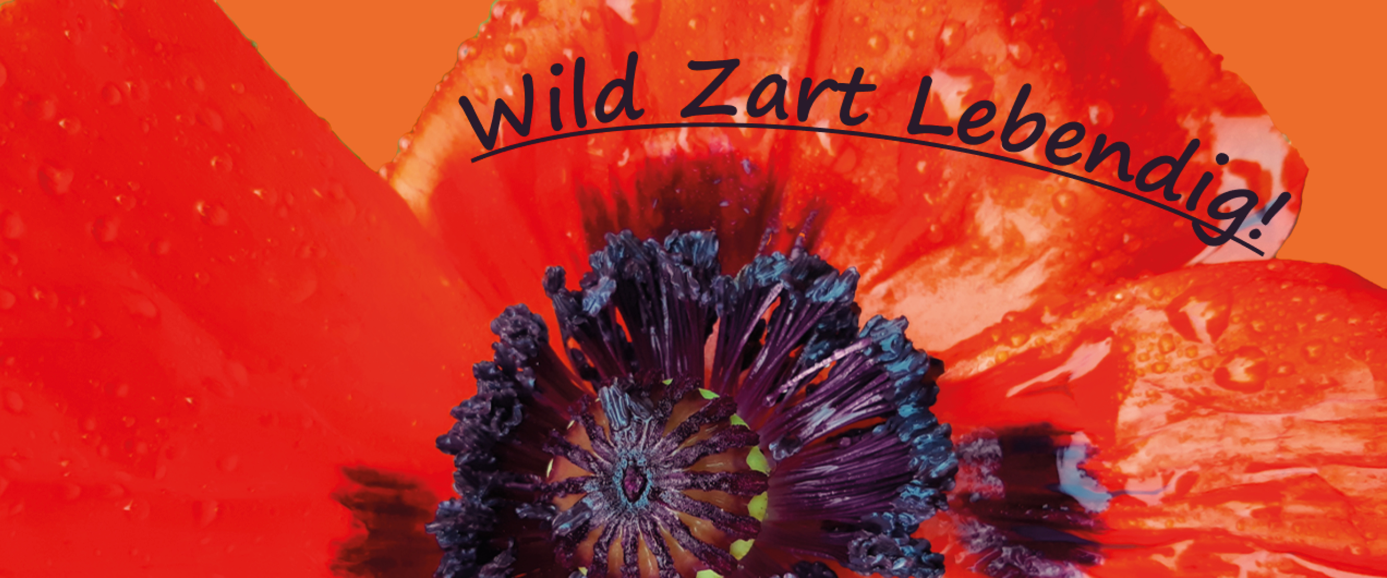Wild - zart - lebendig!  Embodiment Intensiv für Frauen*