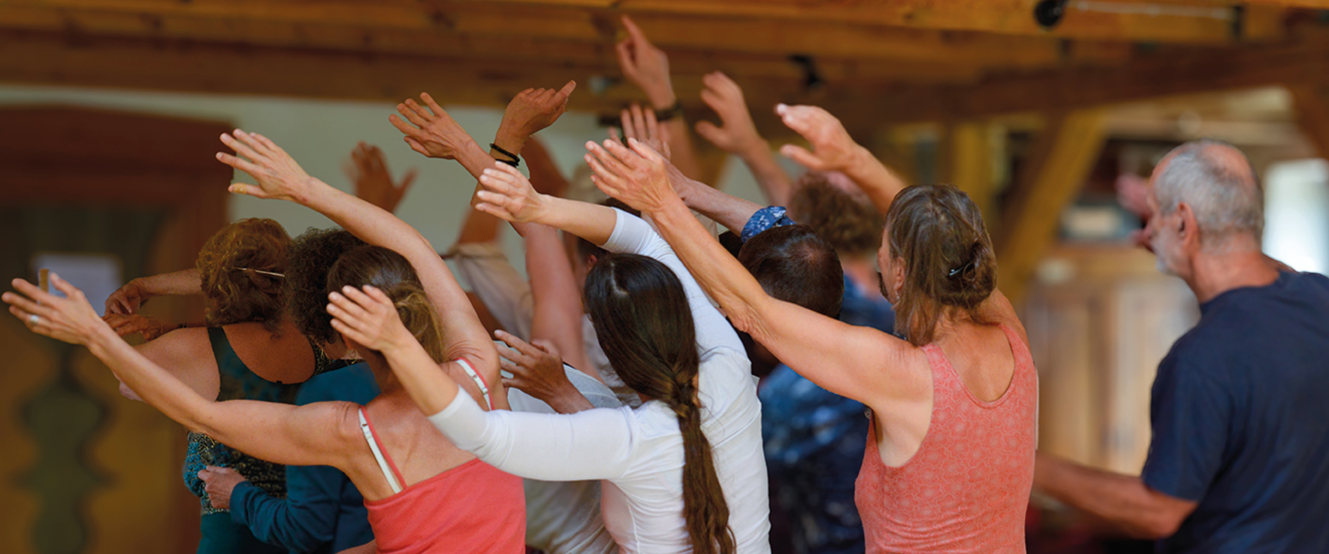 Biodanza.Plus!